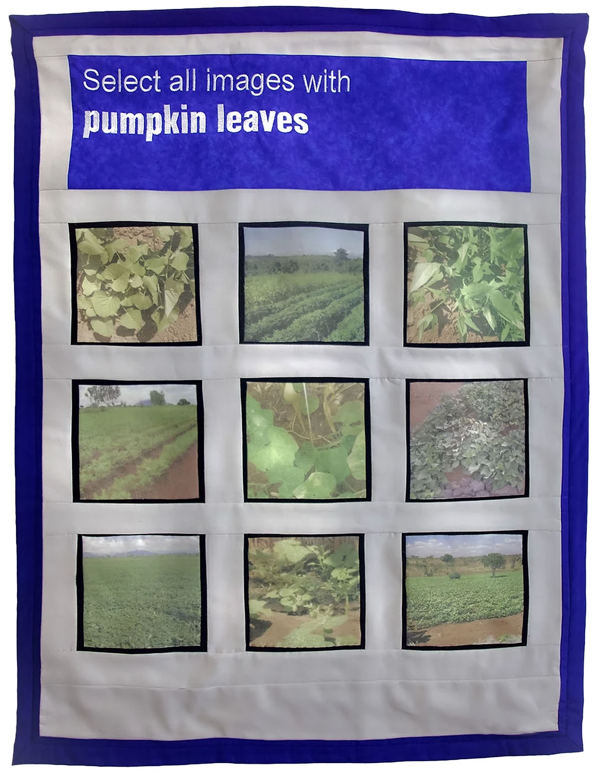 Quilt with square images of gardens. Text on it asks the viewer to select all images with pumpkin leaves.