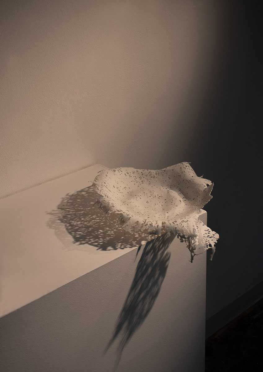 An off-white abstract ceramic piece of art that resembles lace. It balances on the edge of a white display box.